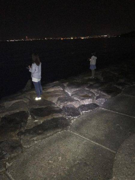 ファミリーフィッシング