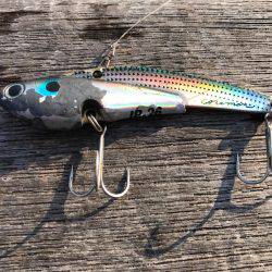 チニング？後シーバス