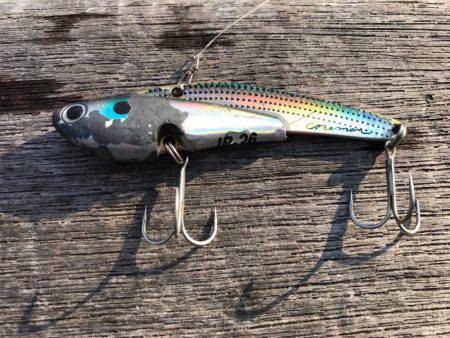 チニング？後シーバス