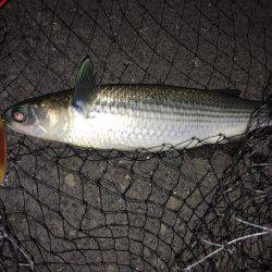 前日と同じ場所へ