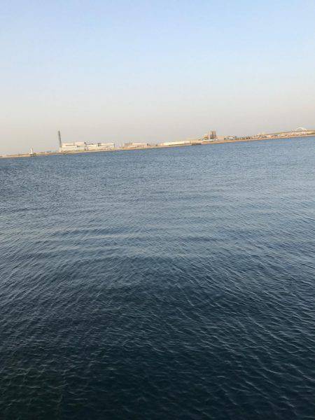 久しぶりのエギング