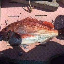 マイボートでタイラバ、ジギング 経ヶ岬沖