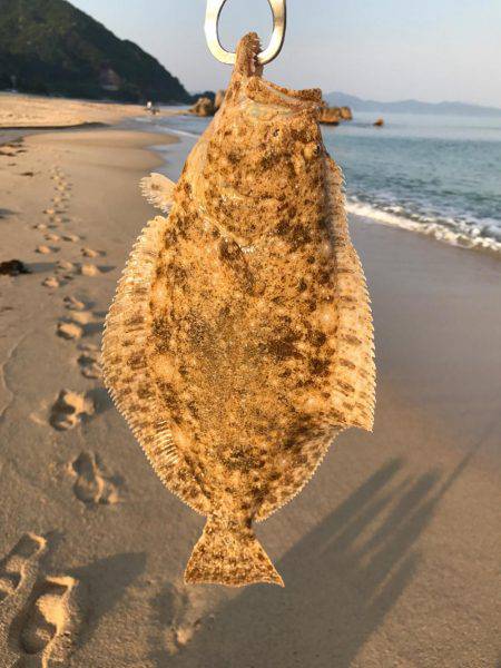 狙い通りでご満悦な釣行