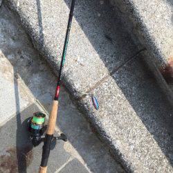 ベイト多過ぎ(苦笑)