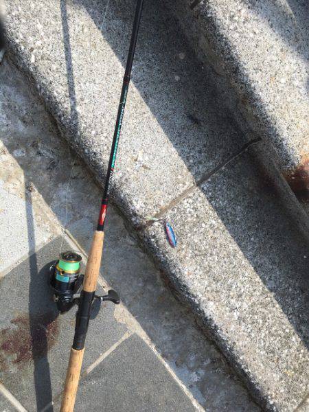 ベイト多過ぎ(苦笑)