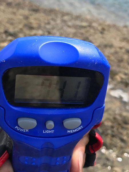 砂浜、海岸、アオリイカ