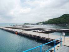 白浜カタタの釣堀 @かなすび釣果