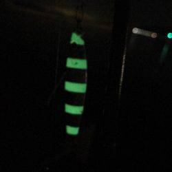 太刀魚ゲットなるか⁉︎