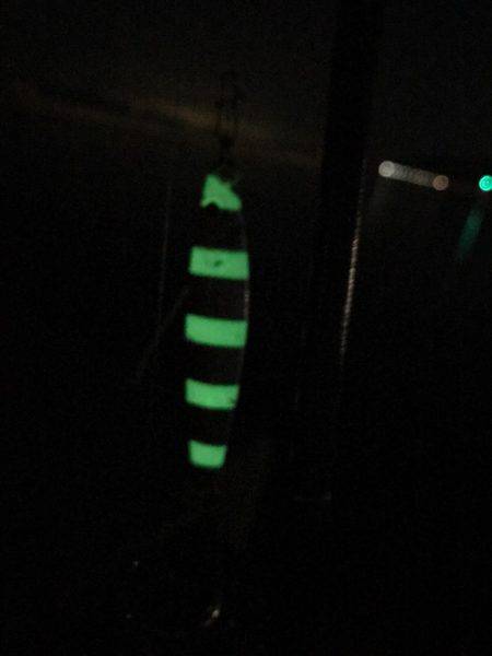 太刀魚ゲットなるか⁉︎