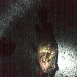 仕事帰りにメバリングのつもりが