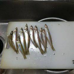 浜の宮海水浴場にて