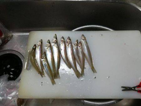 浜の宮海水浴場にて