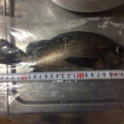 2.5号のエギに笑