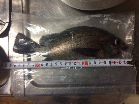 2.5号のエギに笑