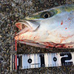 自己ベスト更新