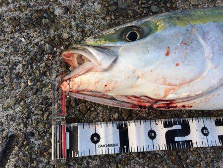 自己ベスト更新