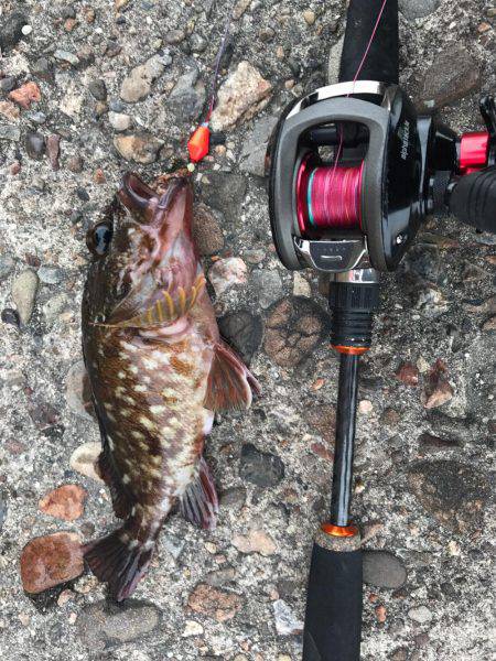 キス釣りに来たが