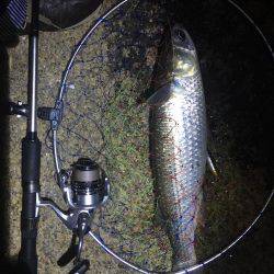 ぐんぐん走るあいつ