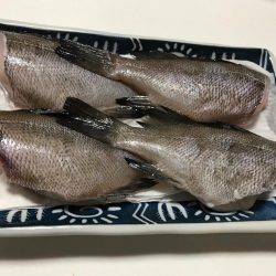 メバリングナイトゲーム