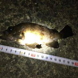 食コンメバリング