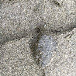 キッシング不発