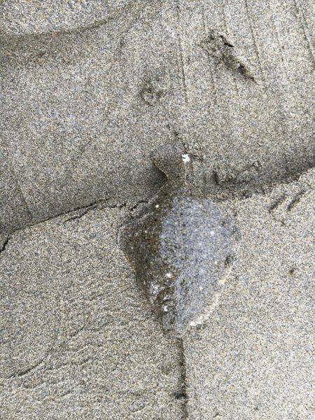 キッシング不発