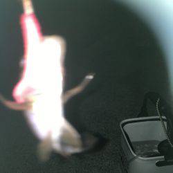 リ・リベンジ(笑)