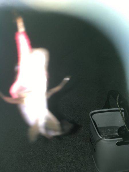 リ・リベンジ(笑)