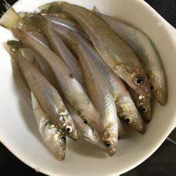 キスが食べたくて