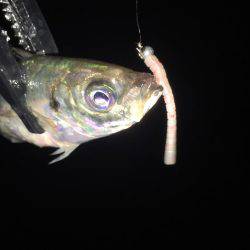 テクニカルアジング