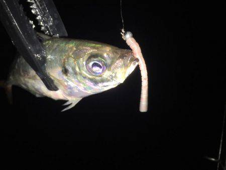 テクニカルアジング