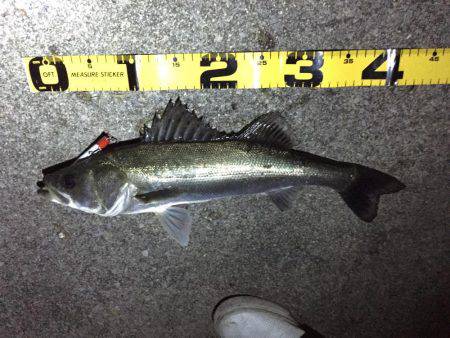 四日市市港にて