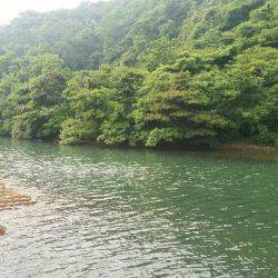 チニング&シーバス狙い