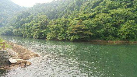 チニング&シーバス狙い