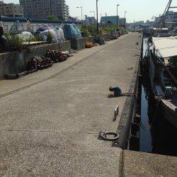 ナイトゲームからのデイゲーム！！