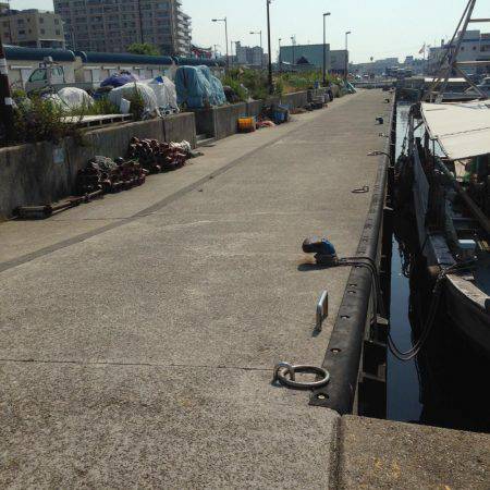 ナイトゲームからのデイゲーム！！