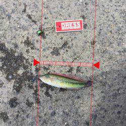 風強すぎーーー