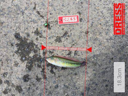 風強すぎーーー