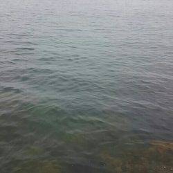 春イカ！キロアップ！