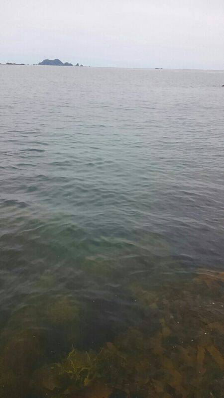 春イカ！キロアップ！