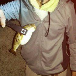 土曜の昼から翌朝方にかけて