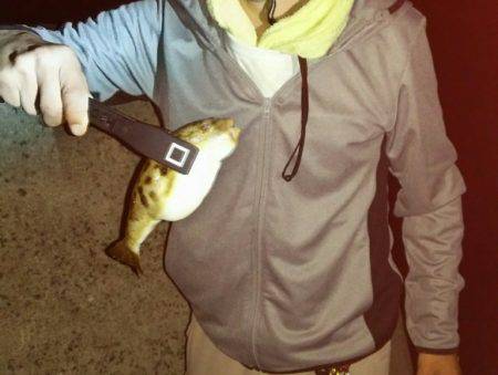 土曜の昼から翌朝方にかけて