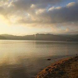 居るんだけどセイゴしか・・・・