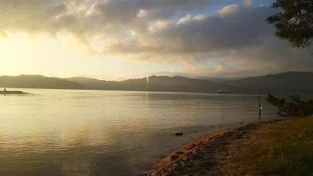 居るんだけどセイゴしか・・・・