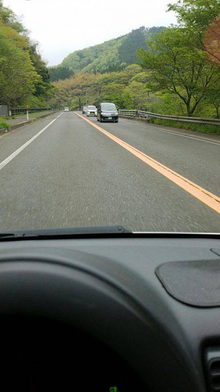 今年初のエギング