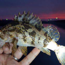 ライトワインド