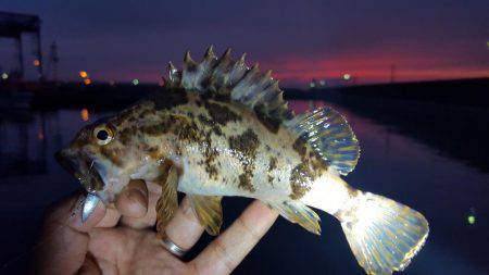 ライトワインド