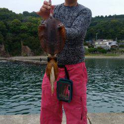 エギングとキス