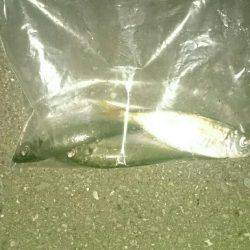 粘ってなんとか