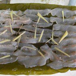 ひらめゲットだぜ!!